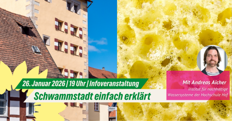 Schwammstadt einfach erklärt | 26.01.2026 Rückblick
